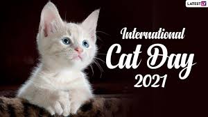 It was created in the year. Cqrpgwzlianpm