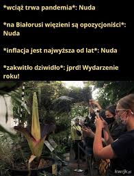 Na stronie twoje memy znajdziesz najlepsze i najśmieszniejsze memy, obrazki, zdjęcia, filmy i gify! Bialorus Najlepsze Memy Zdjecia Gify I Obrazki Kwejk Pl