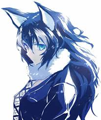 Werewolf Anime Wolf Girl Anime Neko Anime Cat