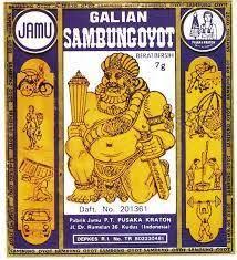 Mari Bernostalgia Lihatlah Iklan Iklan Tempo Doeloe Yang Benar Benar Unik Ini Di 2020 Periklanan Nostalgia Iklan Zaman Dulu