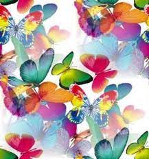 vlinders butterfly art butterfly pictures beautiful butterflies