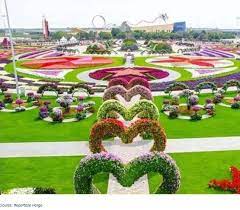 Banyak orang yang menyebut tempat ini sebagai taman bunga nusantara bogor, taman bunga puncak. One Day Trip Part 2 Taman Bunga Nusantara Keindahan Warna Di Puncak Ina Rakhmawati