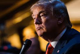 Последние твиты от marine le pen (@mlp_officiel). Donald Trump Is Now America S Marine Le Pen The New Yorker