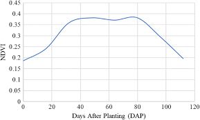 Beragam wahana permainan air serta aktivitas. Land Suitability Analysis For Maize Production In Indonesia Using Satellite Remote Sensing And Gis Based Multicriteria Decision Support System Springerlink