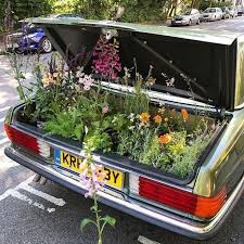 Design Taken For Granted The Trunks Of Cars The Ability To Hold Whatever Inside Them And Nature In 2020 Plants Flowers Aesthetic Pictures