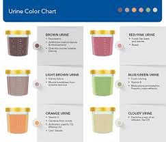 Should I Be Worried About My Urine Color Unitypoint Health