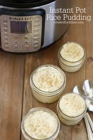 Instant Pot Rice Pudding In 2020 Rice Pudding Cooked Rice Recipes Instant Pot
