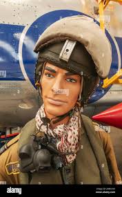 Military pilot hi-res stock photography and images