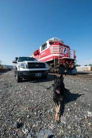 Norfolk Southern Norfolksouthern - Profile Pinterest