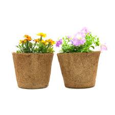 We did not find results for: Prospektifkah Bisnis Kerajinan Sabut Kelapa Phaethon Lem Kertas