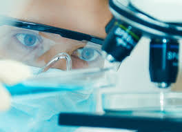 Yüzyılın sonlarındaki göçlerini incelemekte ve böylece tiyatro tarihini karşılıklı etkileşimin tarihi olarak ele. Bayerns Nachwuchsforscherinnen Und Nachwuchsforscher Beweisen Ihre Spitzenklasse