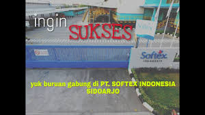 Kali ini gw akan membagikan sebuah konten yang berjudul kisi kisi psikotes pt indonesia epson industry. Testimoni Karyawan Pt Softex Indonesia Youtube