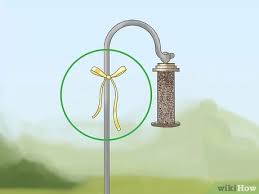 Seed bearing plants also attract finches. How To Attract Yellow Finches With Pictures Wikihow