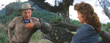 Where was the movie garden of evil filmed. Garden Of Evil Trailers From Hell