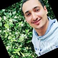 70+ "Ali Raouf" profiles