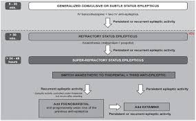 Image result for Status Epilepticus