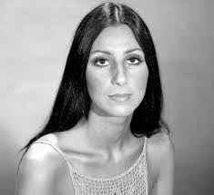 This artist is selling portraits of cher to help animals in captivity. Free Photo Cher Actor Actress Famous Free Download Jooinn