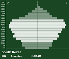 Follow the united nations scenario or build your own scenario. Population Pyramid Of South Korea At 2021 Population Pyramids