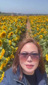 West Palm Beach Sunflower Field