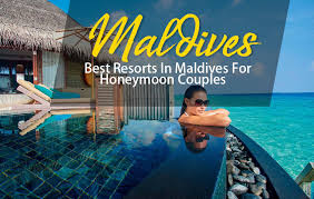 If you are a nature lover, this is the perfect place to be for your honeymoon. Best Resorts In Maldives For Honeymoon Couples Sharp Holidays