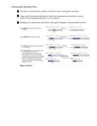 If the person inherited a gene from his mother that causes blindness, he will be blind. Chromosomal Mutations Notes Alterations Of Chromosome Number