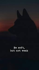 Https Ift Tt 2xzazze Funny Inspirational Quotes Life Quotes Wallpaper Quotes