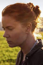 Hd La Llegada 2016 Pelicula Completa En Espanol Latino