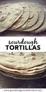 Sourdough Tortillas Recipe Sourdough Starter Discard Recipe Starters Recipes Food