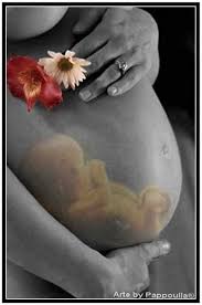 Resultado de imagem para imagem de bebe sendo gerado