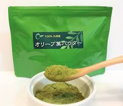ポリフェノールやカルシウムなど栄養豊富な 九州産 オリーブ葉パウダー の開発秘話を特集 株式会社オリーブアカデミー ベストプレゼントガイド