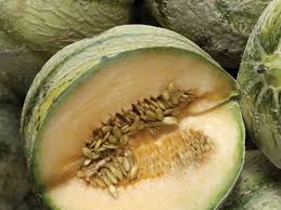 Image result for Cucumis humifructus