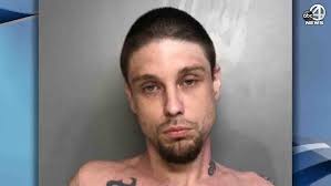 Multiple agencies assist with pursuit of stolen vehicle, man charged