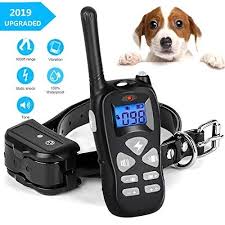 Shock Collar For Dogs Dog Shock Collar With Remote 1600ft Range Sale Training Collars Shop Petsep Com Dog Training Collar Dog Shock Collar Shock Collar