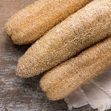 Image result for Luffa