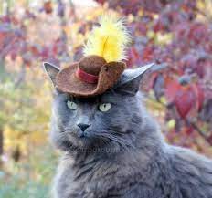 People scream cat from shrek!!! Puss In Boots Pet Hat Wool Hand Felted Cat Costume Etsy