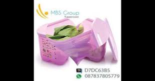 087837805779 Katalog Promo Katalog Tupperware Agustus 2016 Katalog Tu Tupperware Takeout Container Container