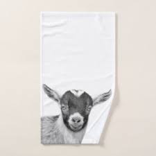 You can clean their head, body, and diaper area. Goat Bath Towels Zazzle