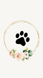 Instagram highlights allow you to easily access and categorize your favorite stories. Social Media Pinwire Dog Puppy Pet Words Inspo Instagram Highlight Icons 24 Mins Ag Instagram Highlight Icons Instagram Icons Instagram Wall Art