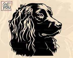 Black And White Springer Spaniel Clipart Boykin Spaniel Svg Dog Svg Cricut Breed Pet Face Head Etsy Boykin Spaniel Spaniel Art Spaniel
