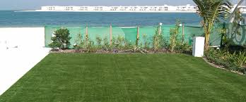 Green Vision Green Garden Landscape
