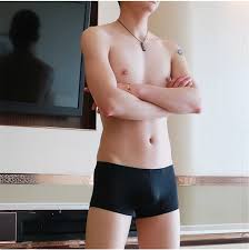 Shop men's boxer briefs at american eagle to cover all your bases. New Men Boxer Shorts Underpants Ice Silk Sexy Calzoncillos Hombre Slips Ropa Interior Home Underwear Men M L Xl Xxl Boxers Sale Boxers Aliexpress