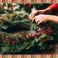 Christmas Wreath Making with Prosecco | 6th December event image