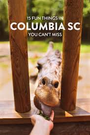 15 fun things to do in columbia sc that