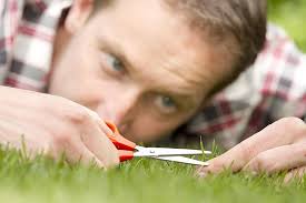 Frango com batata-doce: dá saciedade e ajuda a emagrecer