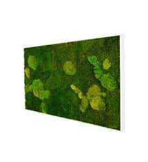 Moosbild 100 X 60 Cm Im Greenbop Online Shop Kaufen Moosbilder Design Shop Bilder