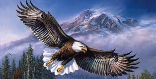 Maybe you would like to learn more about one of these? Eagle Template Animal Templates Free Premium Templates