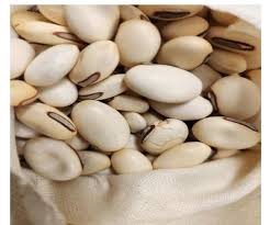 Image result for Canavalia ensiformis