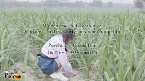 Asian couple extreme sex by train tracks Foxgirlthai HD