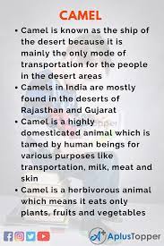 Camel is a rare animal in south india and so people don't know anything about them. 10 Lines On Camel For Students And Children In English A Plus Topper