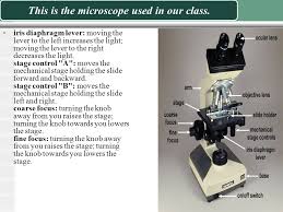 This diaphragm is located closer to the light source of the microscope. Introduction To The Oil Immersion Compound Microscope Ppt Video Online Download